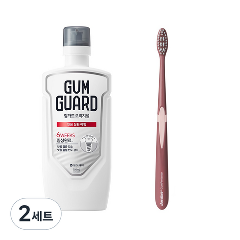 검가드 오리지널 750ml + 검프로텍터 칫솔 랜덤발송, 2세트