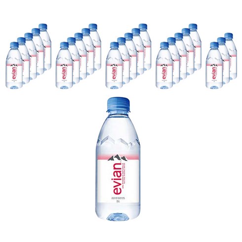 에비앙 - 롯데칠성음료 에비앙 330ml, 24개