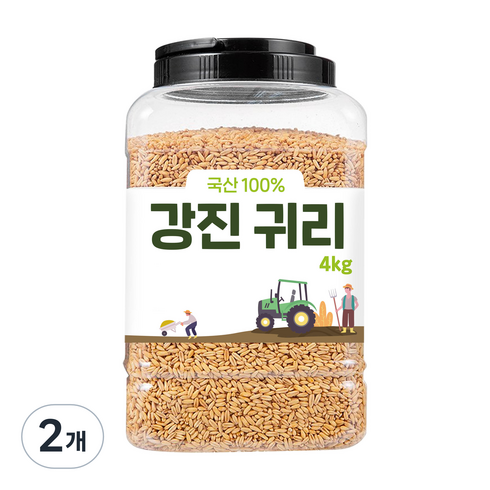 대구농산 2023년산 햇곡 강진 귀리쌀, 4kg, 2개