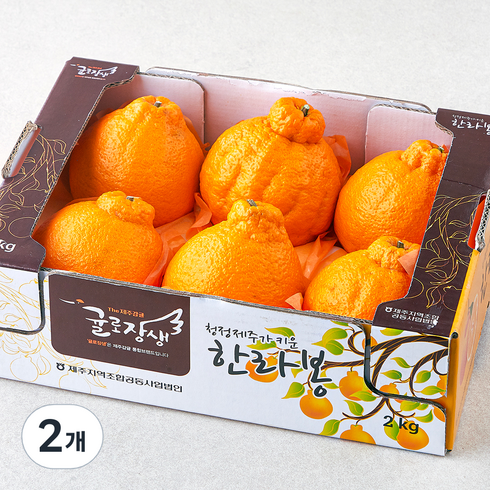제주 위미농협 당도선별 한라봉, 2kg(대과, 4~6입), 2개