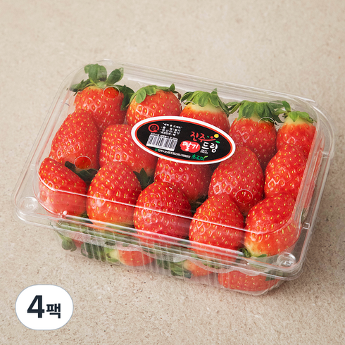 진주드림 진주 설향딸기 중과, 500g, 4팩