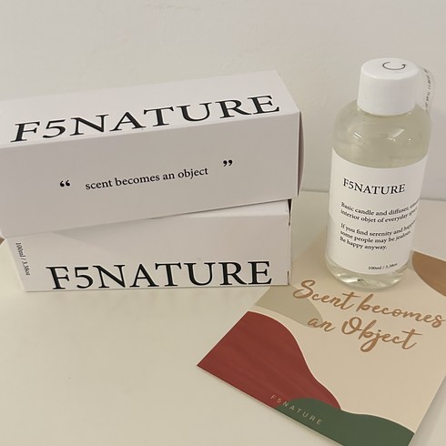 F5NATURE 디퓨저 리필액, 우드세이지앤씨솔트, 100ml