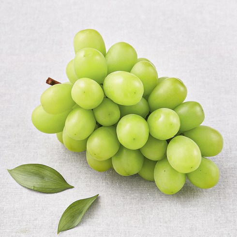 과일 - 제이드가든 샤인머스캣 포도, 500g, 1개