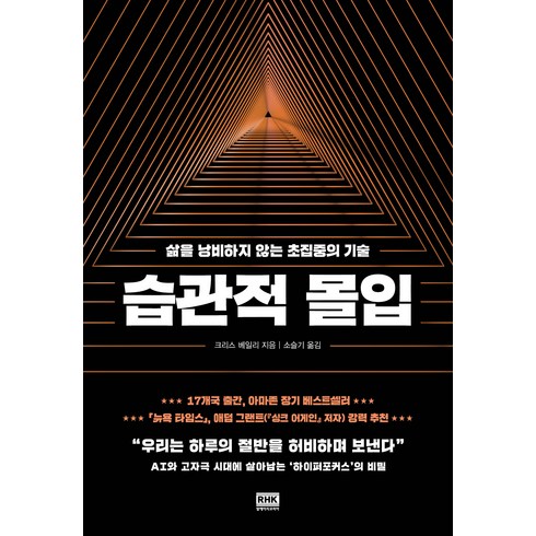 습관적 몰입:삶을 낭비하지 않는 초집중의 기술, 크리스 베일리, 알에이치코리아