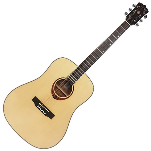 dexterGUITARS 통기타 풀 패키지 D-9, NATURAL GLOSS