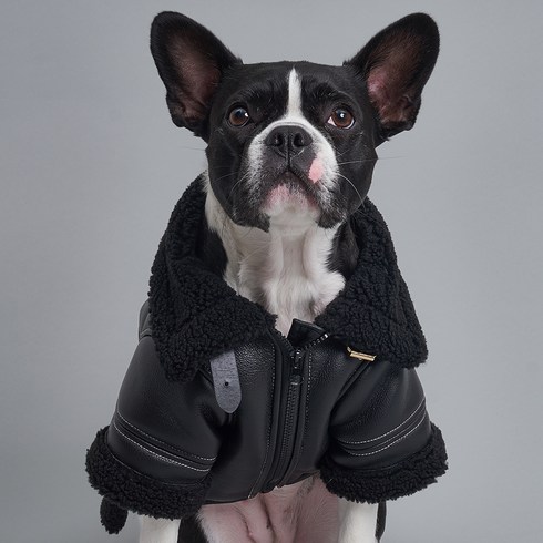 2023년 가성비 최고 강아지고글자켓 - 도그아이 강아지 무스탕, 블랙
