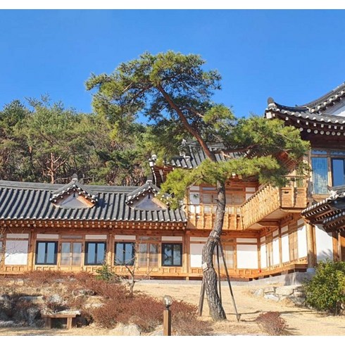 경주한옥호텔 TOP01