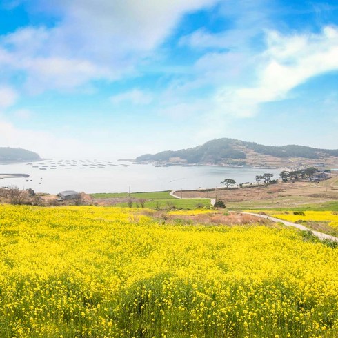 [청산도] 슬로우시티 청산도,해남,완도1박2일 (두륜산, 미황사, 완도수목원)