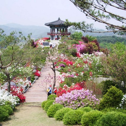 [강원] 출발확정 4/10,14,20[체험+중식]홍천시티투어_척야산수목원+체험마을+홍천미술관+수타사
