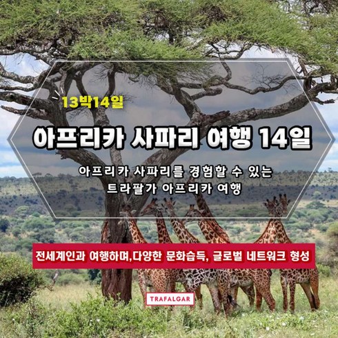 아이슬란드여행 - [페루] [2024 조기예약할인] 사파리를 경험할 수 있는 트라팔가 아프리카 여행 14일