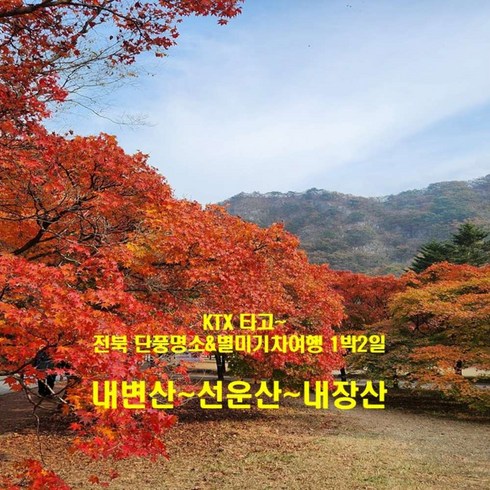 기차여행 - [출발확정] [KTX 전북 단풍명산&별미]내변산&선운산&내장산 기차여행(10/25~11/30 1박2일)