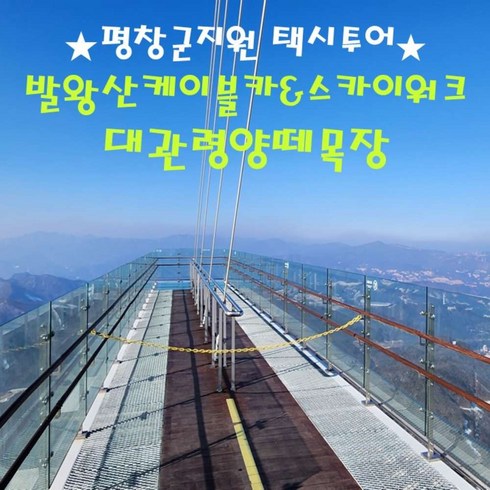 [출발확정] ★평창군지원★ [평창 택시투어 3탄] 발왕산케이블카+대관령양떼목장(당일)