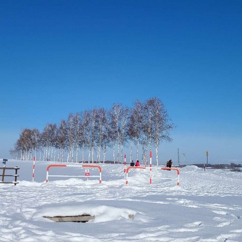 [삿포로] [하나투어]인천출발 제주항공 홋카이도 4일 #JSP1437CN #힐링 가득 #여유로운
