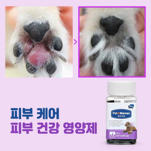 2023년 가성비 최고 강아지피부영양제 - 펫또마망 강아지 피부 영양제 습진/붉은피부/피부면역 2BOX, 피부건강에 도움 2BOX