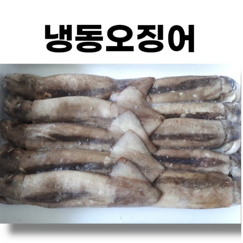 냉동오징어 1박스 3kg(10마리) 오징어베이트 업소용 도매