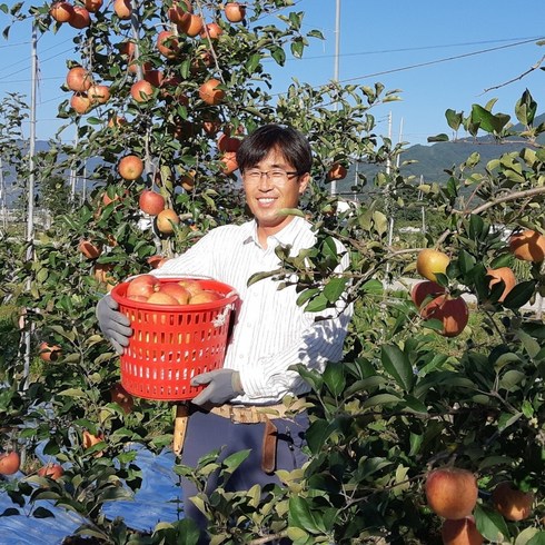 [사과삼촌] 장수사과 5KG(28과 내외), 1박스