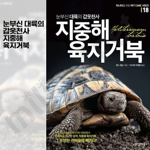 육지거북이런 - 씨밀레북스 눈부신 대륙의 갑옷천사 지중해 육지거북