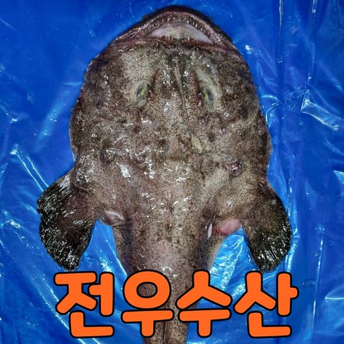 (전우수산) 국내산 생아귀 순살아귀 아귀간 아귀대창 아귀 아구 아구찜 아귀찜, 1. 생아귀(1kg), 1개