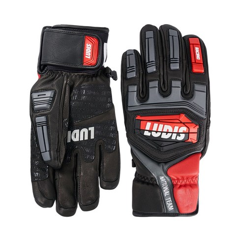 2023년 가성비 최고 루디스국가대표장갑 - 루디스 국가대표 알파인 스키 보드 레이싱 오지 방한 가죽 장갑 LGM471GA 블랙 (남여공용), 선택완료