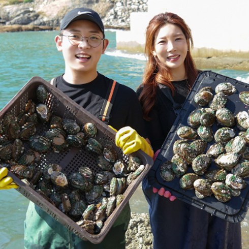 2023년 가성비 최고 완도 활전복 1kg 국산 양식 7미-60미 전복 - [산지직송] 완도 활 전복 산지직송 가정용 선물용 7미~60미 1kg, 13-15미(행사상품) 3kg, (전복솔증정), 1개