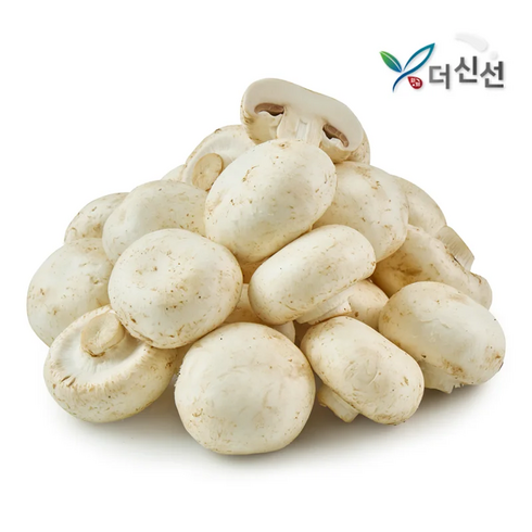 양송이버섯 - 충남 부여 못난이 양송이 버섯 가정용 산지직송, 1박스, 1kg