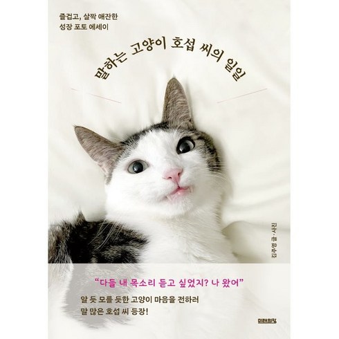 말하는 고양이 호섭 씨의 일일:즐겁고 살짝 애잔한 성장 포토 에세이, 미래의창, 김주영