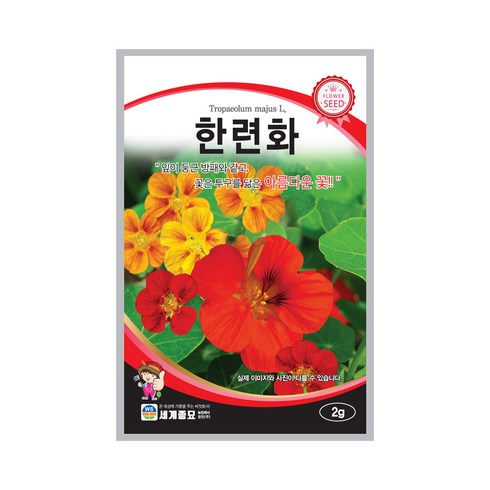 한련화 TOP01