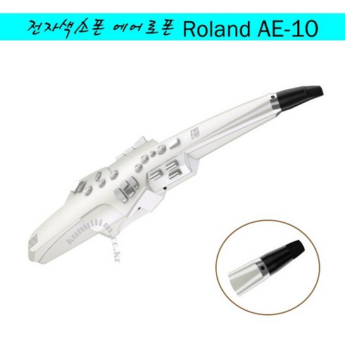 전자색소폰_롤랜드-에어로폰 Aerophone AE-10 / Digital Wind Instrument / A/S보장 큰울림악기! 정품!, 그레이