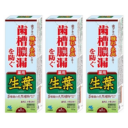 고바야시제약 일본치약 약용 생엽 잇몸질환 치주염예방 치약 천연식물성 상쾌한 허브박하맛 100g 3개