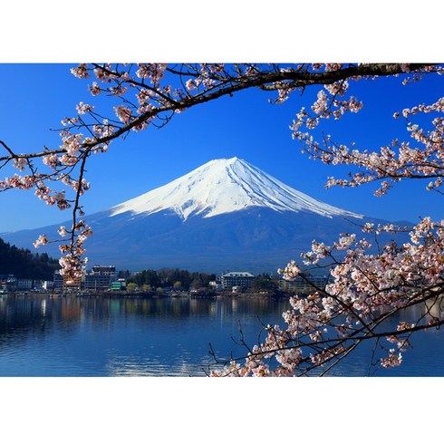 TPG-072 후지산의 아름다운 벚꽃 일본 대형 랜드마크 포스터 브로마이드