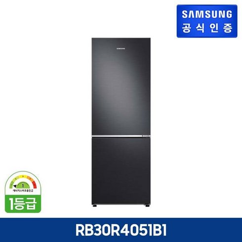 rb30r4051b1 - 삼성 냉장고 [RB30R4051B1], 단일속성