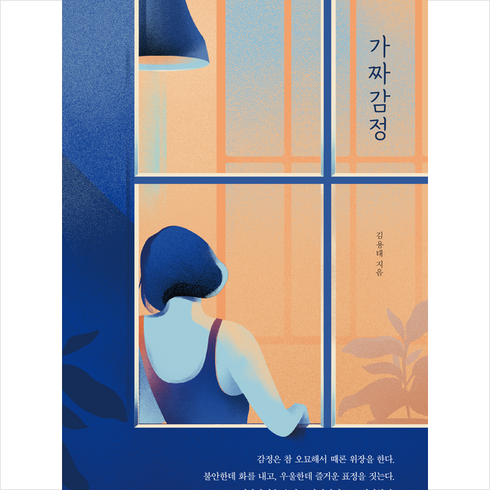 가짜감정 - 가짜감정 + 미니수첩 증정, 미류책방, 김용태