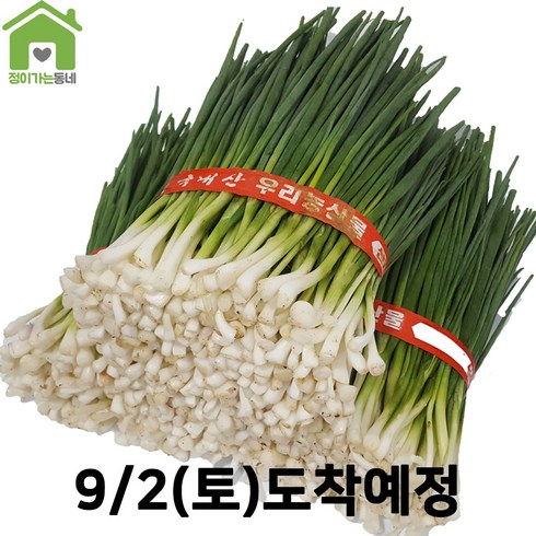 2023년 가성비 최고 깐쪽파 - 국내산 깐쪽파 쪽파 파 1단 (약1Kg), 1kg, 1개