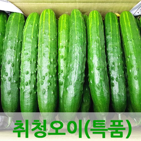 오이판매 - 자체브랜드 싱싱한 오이 취청오이, 오이3kg(특품), 1개