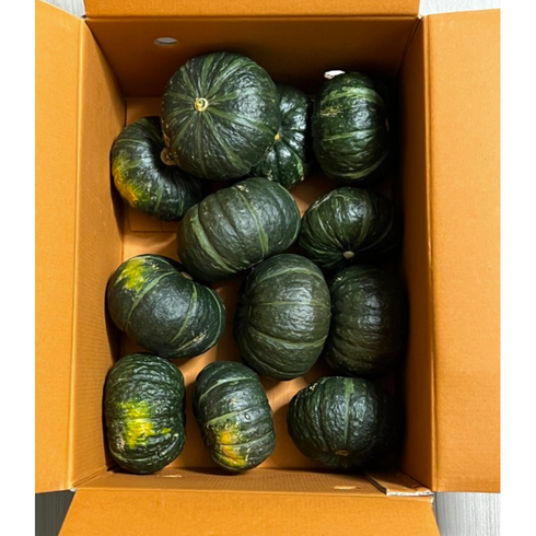 2023년 가성비 최고 미니단호박 - 최상품 특과 제주 미니 단호박 3kg(5~12개) 보우짱 밤단호박, 3kg, 1개