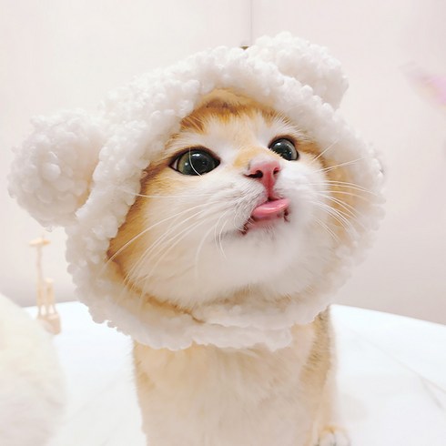 2023년 가성비 최고 강아지모자 - 로로펫 반려동물 강아지 고양이 곰돌이모자, 아이보리