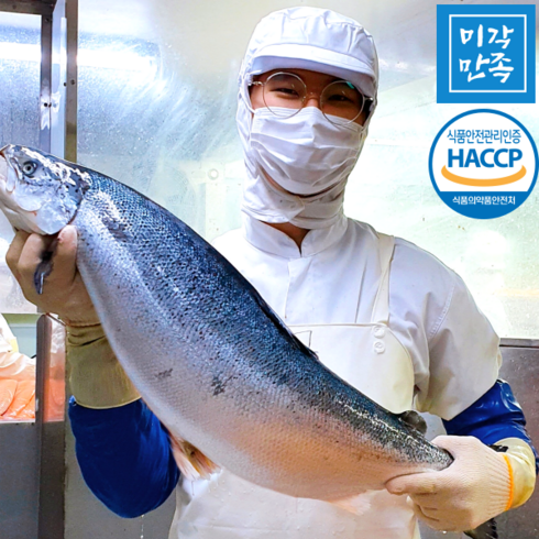 [미각만족] HACCP 얼리지않은 노르웨이 생연어 연어회 필렛 (몸+뱃살) 2kg 1kg 500g 300g, 04.생연어 필렛 2kg 반마리(라운드)