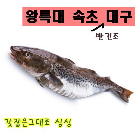 대구케이터링 - 왕특대 대구뽈 속초 주문진 반건조 대구, 중 - 1미 500g 내외, 1개