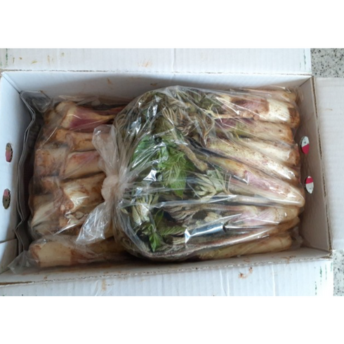 땅두릅 - [당일수확] 두릅 500g 1kg 땅 두룹 드릅 드룹 국내산 경상남도 두릅 최상급 두릅 땅두릅 두릎 자연산두릅, 1개