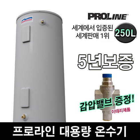 2023년 가성비 최고 프로라인전기온수기 - 프로라인 저장식 전기온수기 100~450L 대용량 업소용 카페수영장헬스장, 250L(감압밸브포함)