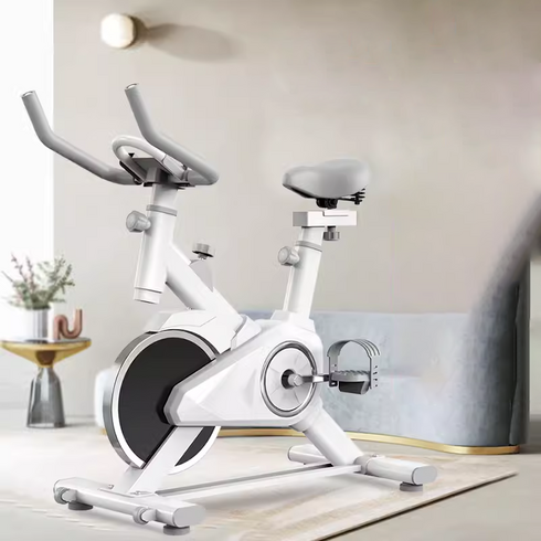 [HOTAX] 튼튼한 실내 자전거 운동 기구 홈트 사이클 싸이클 헬스 유산소 머신, 스탠다드