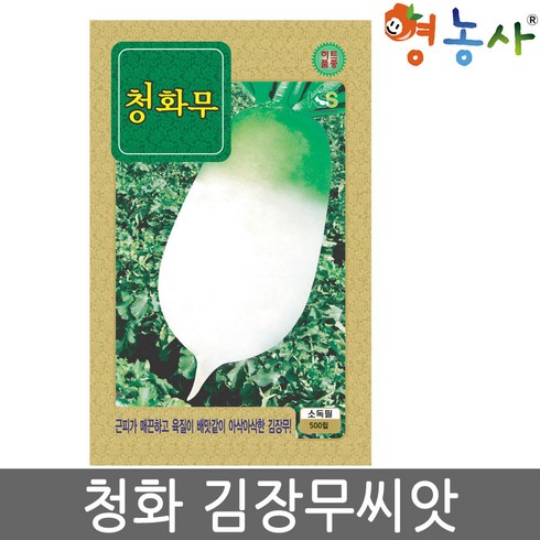 김장무씨앗 - 청화무 씨앗 500립 아삭한 식감의 가을 김장무 종자, 1개