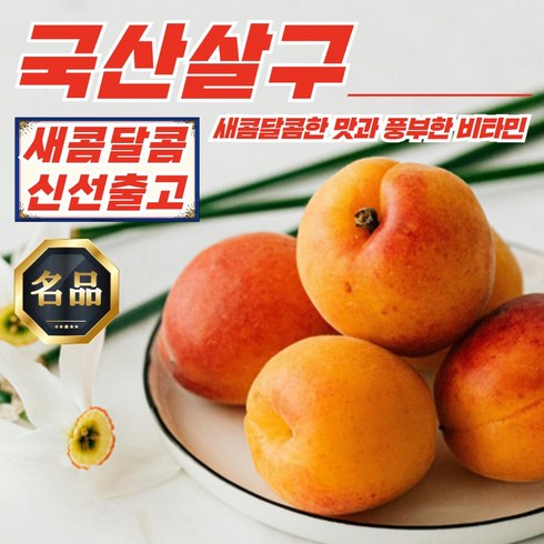 성실농수산 - 국내산 새콤달콤 햇주황 살구 3kg, 1개