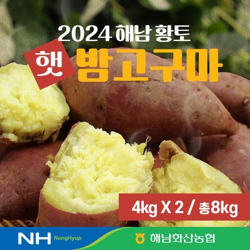 해남고구마 - 24년 화산농협 해남 황토 햇 밤고구마 8kg(4kg+4kg), 단일옵션