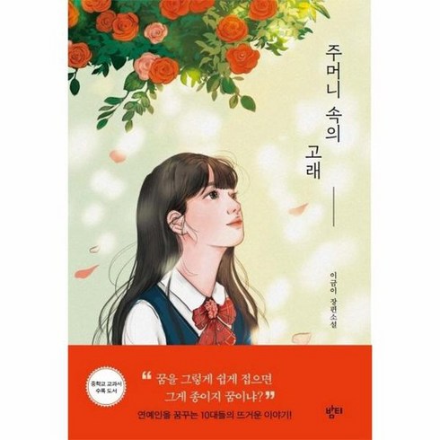 주머니 속의 고래 이금이 장편소설, 상품명