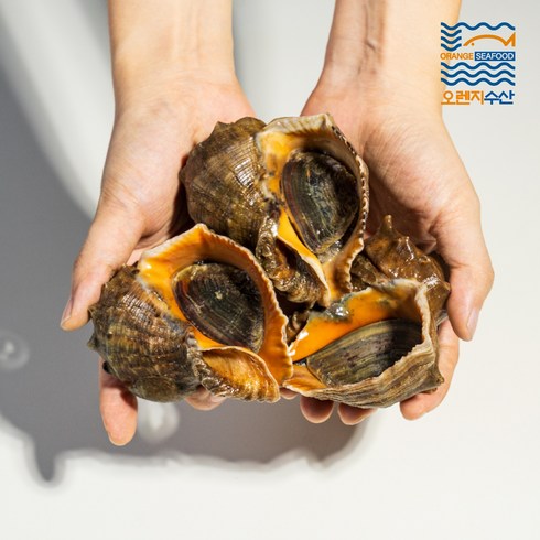 참소라 - 참소라 소라 직송 해남 자연산 1kg 7-10마리(혼합), 1세트