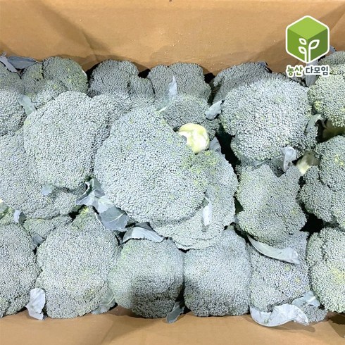 국내산 브로콜리 특 4kg, 1개