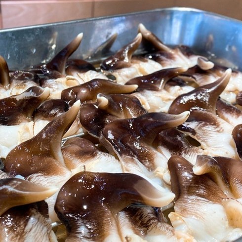 당일손질 자연산 여수 새조개 산지직송, 1개, 1kg 50-60미
