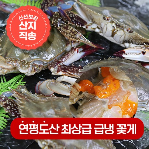 연평도 제철 최상급 급냉 냉동 꽃게, 11.연평도 급냉 알배기암꽃게 특대 1kg(2~3미), 1개