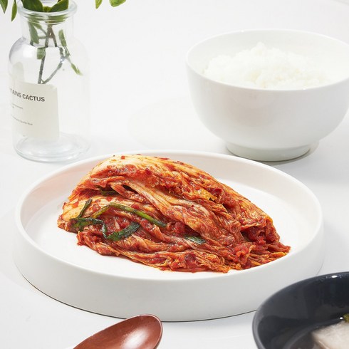 보람찬상회 우리형 겉절이 국산 특허받은 발효용기 캠핑용 여행용 맛있는 매운 겉절이 김치, 시그니처 500g, 1개, 500g